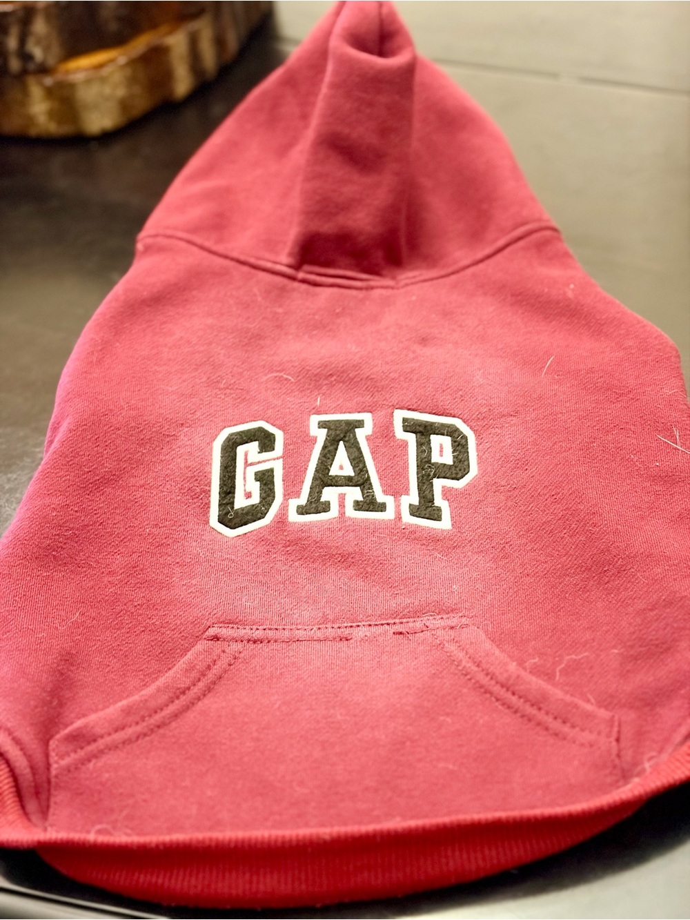 4 Dog GAP hoodies size small